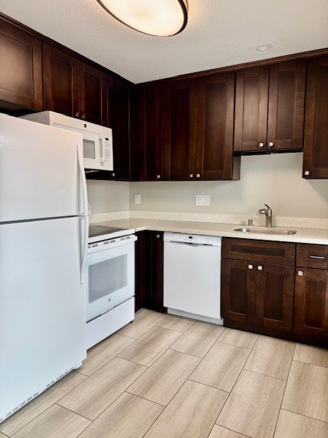 313 Camelback Road #3